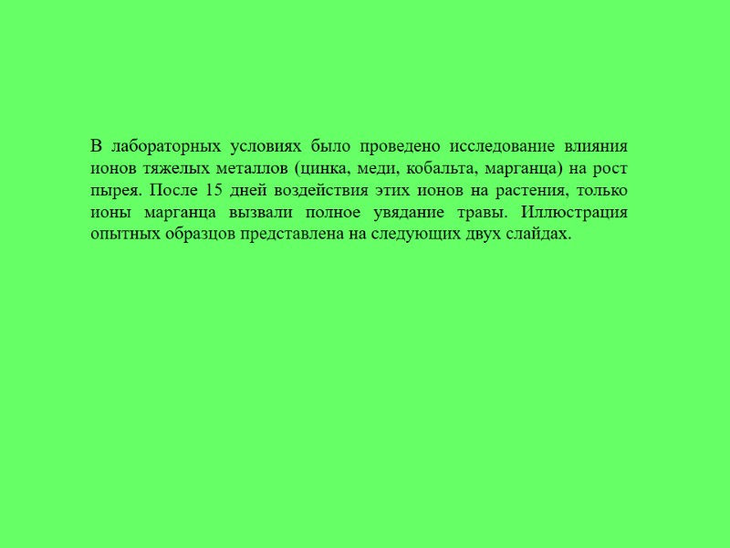 В лабораторных условиях было проведено исследование влияния ионов тяжелых металлов (цинка, меди, кобальта, марганца)